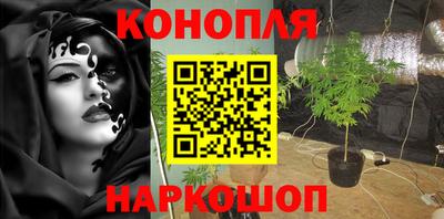 СК Краснодар