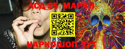 СК Краснодар
