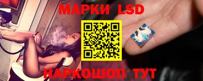 СК Краснодар