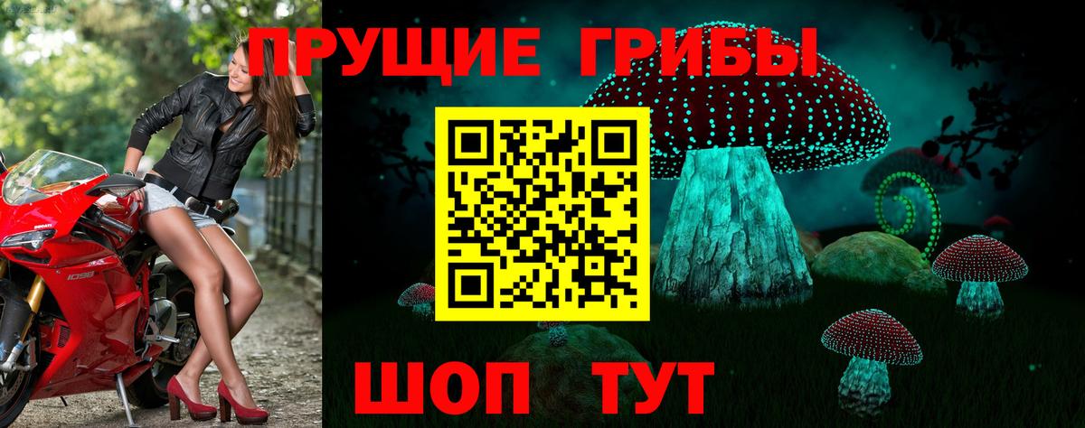 где купить наркоту  Галлюциногенные грибы прущие грибы  Вход с VPN  Златоуст 